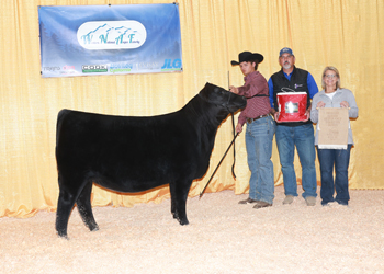 Owned Reserve Senior Heifer Calf Champion