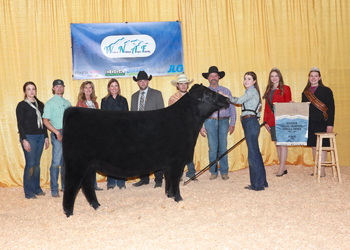 Reserve Grand Champion Owned Female