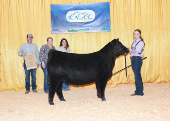 Owned Summer Heifer Calf Champion