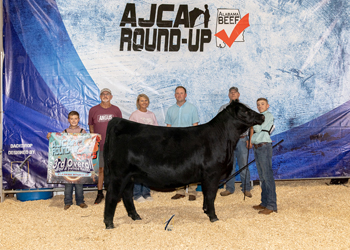 Reserve Grand Champion Bred-and-owned Female