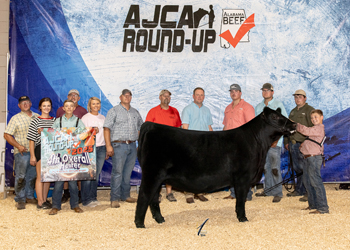 Grand Champion Owned Female