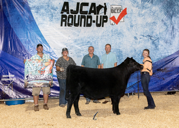 Grand Champion Bred-and-owned Female