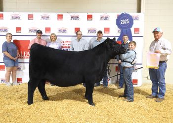 Grand Champion Owned Female