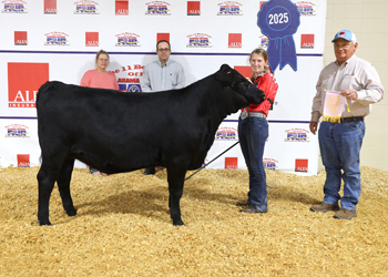 Reserve Grand Champion Bred-and-owned Female