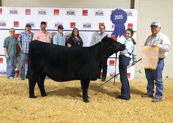 Grand Champion Bred-and-owned Female
