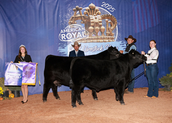 Grand Champion Cow-calf Pair