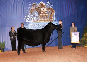 Reserve Senior Champion Female