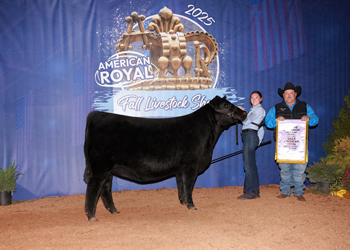 Reserve Junior Champion Heifer-- Division 1