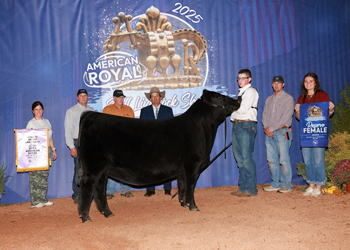 Reserve Grand Champion Female