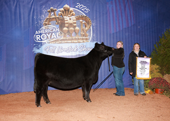 Reserve Junior Champion Heifer-- Division 2