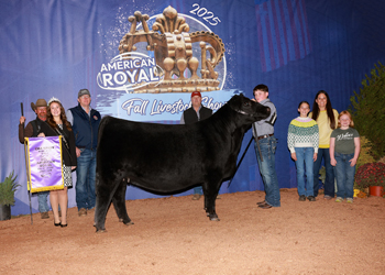 Intermediate Champion Heifer