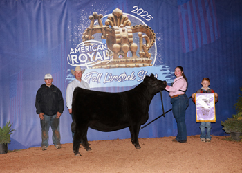 Reserve Senior Heifer Calf Champion