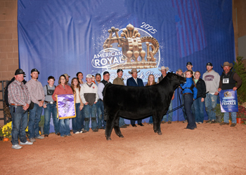 Grand Champion Female