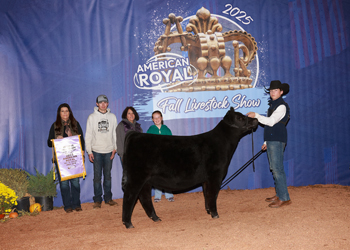 Reserve Junior Heifer Calf Champion