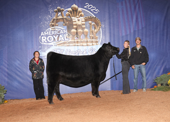 Owned Senior Champion Female