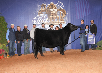 Grand Champion Bred-and-owned Female