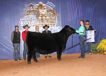 Reserve Grand Champion Owned Female