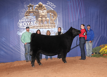 Owned Intermediate Champion Heifer