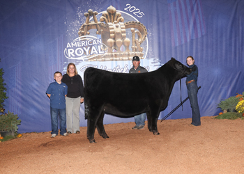 Owned Reserve Intermediate Champion Heifer