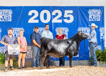 Reserve Grand Champion Female