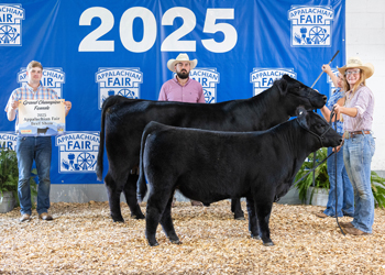 Grand Champion Cow-calf Pair