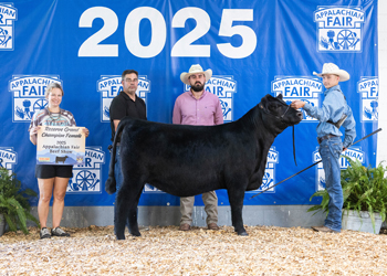 Reserve Grand Champion Female