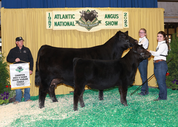 Bred-and-owned Senior Champion Female