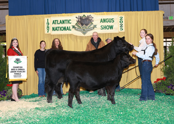 Bred-and-owned Junior Champion Heifer