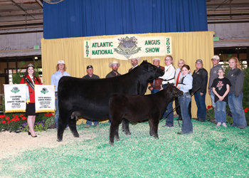 Fifth Overall Owned Champion Female