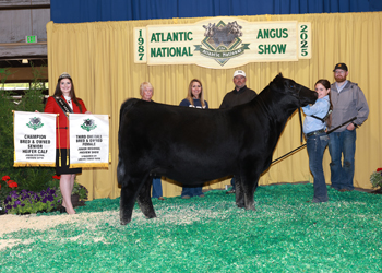 Third Overall Bred-and-owned Champion Female