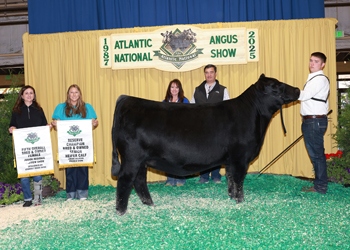 Fifth Overall Bred-and-owned Champion Female