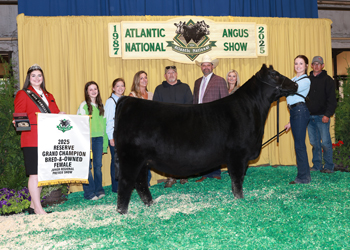 Reserve Grand Champion Bred-and-owned Female
