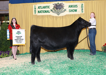 Owned Junior Heifer Calf Champion Div 2