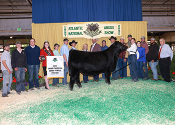Grand Champion Owned Female