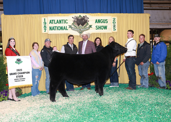 Grand Champion Steer