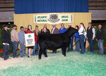 Third Overall Owned Champion Female