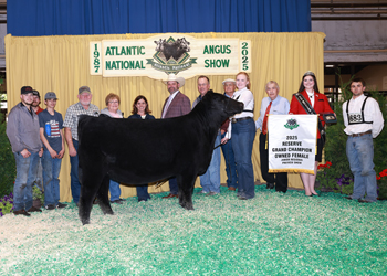 Reserve Grand Champion Owned Female