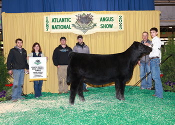 Fourth Overall Bred-and-owned Champion Female