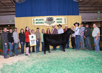 Fourth Overall Owned Champion Female