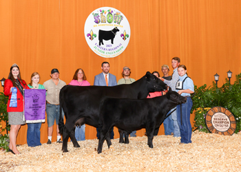 Reserve Grand Champion Cow-calf Pair