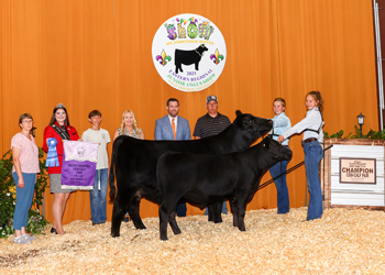 Grand Champion Cow-calf Pair
