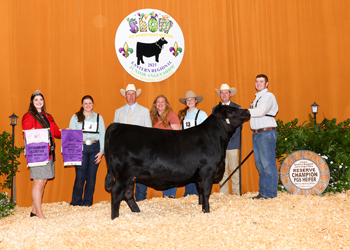 Reserve Grand Champion PGS Female