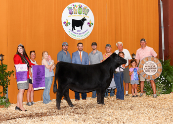 Reserve Grand Champion Owned Female
