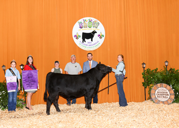 Reserve Grand Champion Bred-and-owned Bull