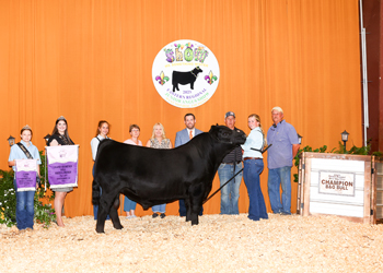 Grand Champion Bred-and-owned Bull