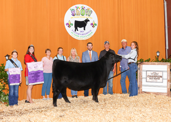 Grand Champion Bred-and-owned Female