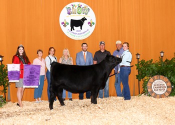 Reserve Grand Champion Bred-and-owned Female
