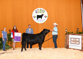 Grand Champion Steer