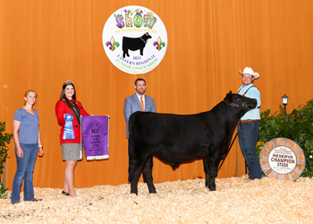 Reserve Grand Champion Steer