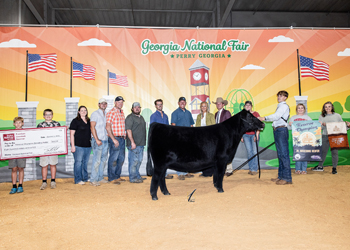 Grand Champion Female
